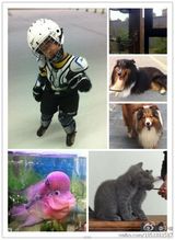 组图：于谦六岁儿子可爱搞怪照曝光