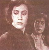 资料：新中国电影22大明星—秦怡