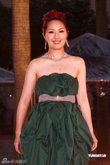 幻灯：香港金像奖颁奖红毯 杨千嬅绿裙典雅