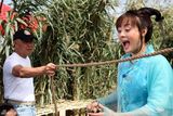 幻灯：孙俪领衔《越光宝盒》 大展喜剧天赋