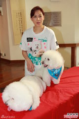 组图：邝美云携爱犬做慈善 自曝男友吃醋