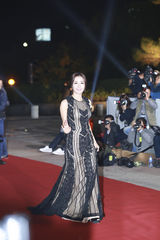 独家高清：群星闪耀大钟奖红毯 俊男靓女秒菲林