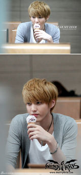 策划：鹿晗宋茜KRIS 韩国爱豆中国制造