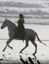 组图：《暮光》女主角新片扮公主 遭喷水露半球