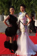 第21届金鸡百花电影节红毯女星争艳