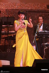 组图：陈洁仪性感亮相音乐会 赵增熹意外遭戏弄