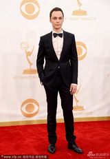 组图：第65届电视艾美奖红毯明星