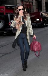 高清组图：超模米兰达-可儿纽约街拍怀抱宠物狗