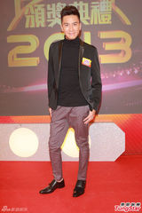 组图：TVB台庆提名揭晓 马国明杨怡再争视帝后