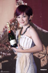 组图：梁静茹首任制作人 出道唱片高度堪比19座珠峰 