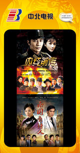 组图：首都电视节目春推会海报展示