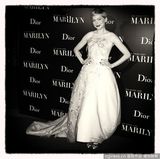 组图：《我与梦露》巴黎首映 威廉姆斯粉红佳人