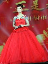 组图：全球客家文化大使钟雯受邀开封春晚