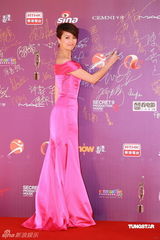 幻灯：香港金像奖颁奖红毯 梁咏琪桃红洋装显高贵