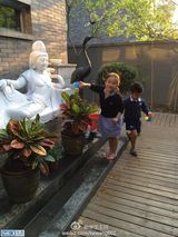 组图：刘涛老公晒子女劳作照 女儿漂亮儿子帅气