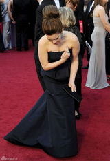 高清组图：奥斯卡红毯蒂娜-菲身着礼服婉约动人