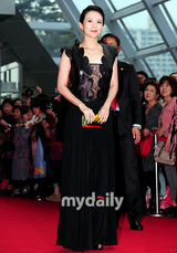 组图：章子怡张东健盛装走红毯 张柏芝粉裙美艳