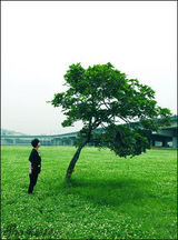 幻灯组图：李霄云素雅淡定 展露清新文艺范儿