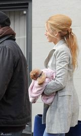 高清图：布莱克-弗莱利街拍 怀抱可爱狗狗出镜