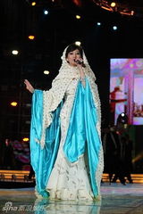 幻灯图：新年夜星光灿灿耀上海 倒计时焰火迎世博