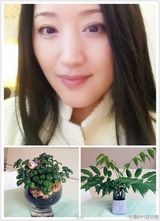 组图：盘点微博上的娱乐圈不老女神