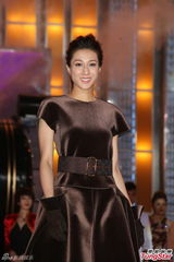 组图：TVB2014巡礼全员出动 女星竞艳旧爱相逢