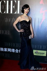 组图：优雅盛典水立方落幕 刘嘉玲巩俐红毯竞艳