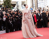 组图：范冰冰戛纳走秀 发髻复古蕾丝礼服妩媚优雅