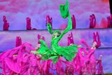 高清组图：双拥晚会 女子集体舞《万紫千红》