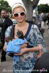 幻灯图集：帕丽斯-希尔顿与宠物狗形影不离