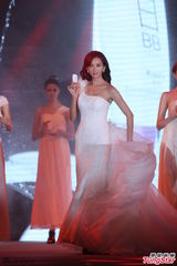 组图：林志玲致歉 告诫小学生别看内衣广告