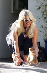 组图：帕丽斯-希尔顿怀揣两爱犬心花怒放玩得欢 