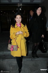 组图：前夫何东舜铭拖欠赡养费 陈复生为离婚案上庭