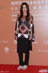 群星闪耀嫣然基金晚宴 王菲旗袍装与李亚鹏恩爱