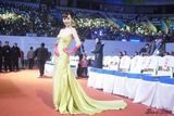 组图：李菲儿2010红毯造型盘点 甜美与性感并存