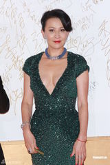 组图：刘德华刘嘉玲亮相2012年港姐总决选红毯