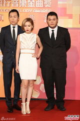 群星亮相金曲奖红毯 蔡依林美腿梁静茹性感(图)