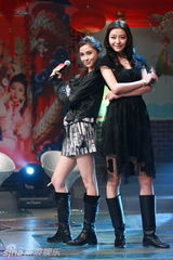 幻灯：《花田囍事2010》迎春会 黄百鸣携子送围脖