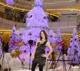 高清组图：柯佳嬿张榕容上海冬日华丽云裳秀