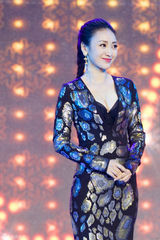 组图：柳岩性感深V裹身裙出席活动 男粉丝送抱