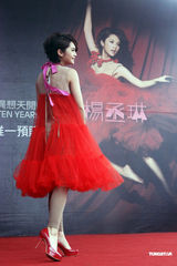 高清组图：杨丞琳喜气洋洋发新碟 裸肩上阵无惧寒流