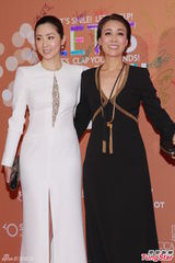 群星闪耀嫣然基金晚宴 王菲旗袍装与李亚鹏恩爱