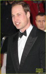 组图：曼德拉传记片首映 凯特与威廉红毯秀恩爱