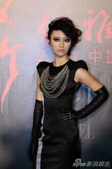 组图：优雅盛典水立方落幕 刘嘉玲巩俐红毯竞艳