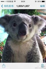 组图：电影《爸爸》曝花絮照 萌宝喂小动物有爱