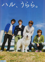 组图：带你认识日本的“丑男”组合Kis-My-Ft2