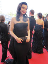 幻灯：范冰冰与杜晨-科洛斯同台 东西双姝竞艳红毯