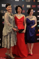 组图：红星大奖落幕吴尊寻婿 李铭顺嫉妒范文芳