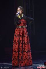 组图：慈善晚会谭咏麟等献唱 港姐冠军亮相庆功