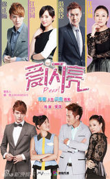 组图：2013中国电视剧秋季推介会参展剧海报